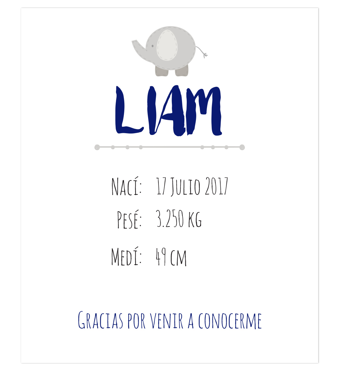 Banner Nacimiento Bebé Elefante - Imagen 2