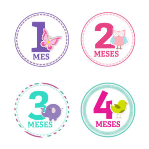 Stickers 12 Meses Animales